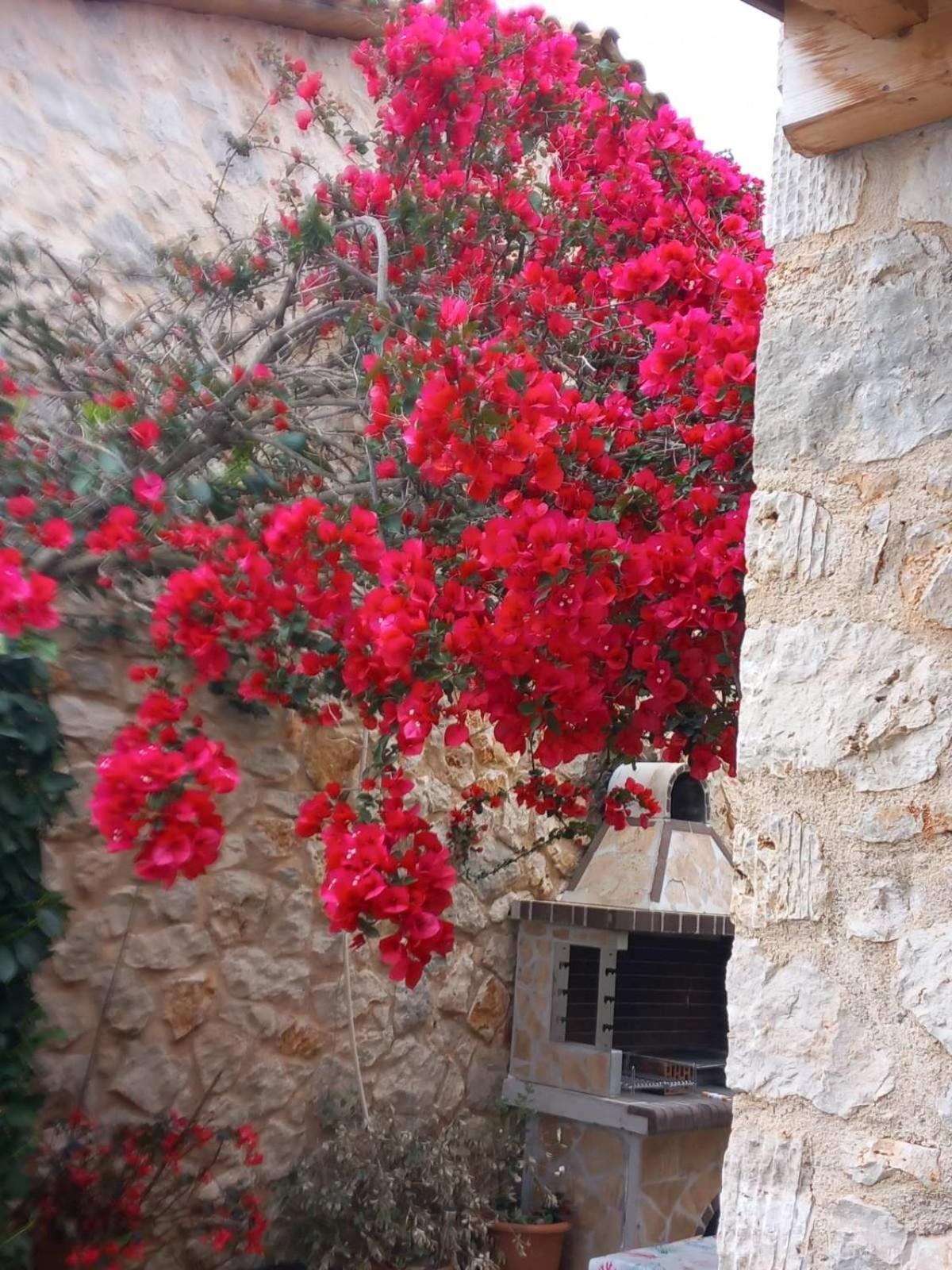 Dioni Villa Sívota Esterno foto